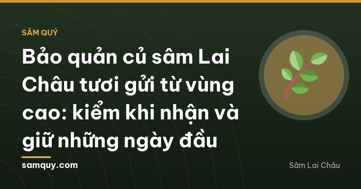 Hands opening a cardboard parcel on a kitchen counter in Ho Chi Minh City, revealing a fresh ginseng root nested in damp green moss, warm indoor light, close three-quarter angle