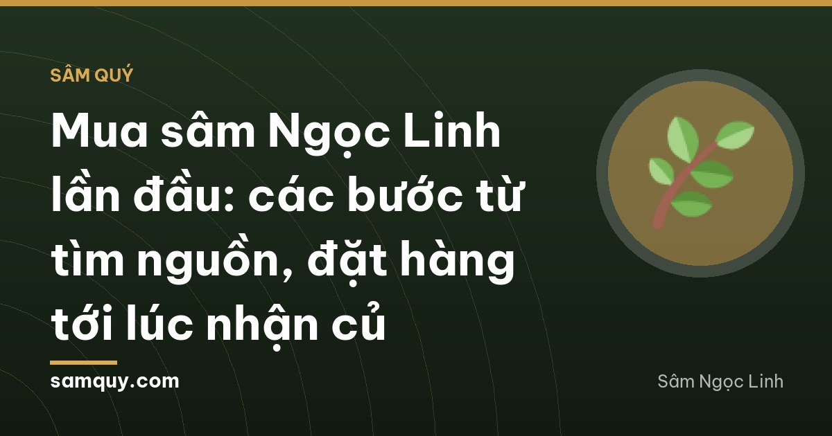Mua sâm Ngọc Linh lần đầu: các bước từ tìm nguồn, đặt hàng tới lúc nhận củ